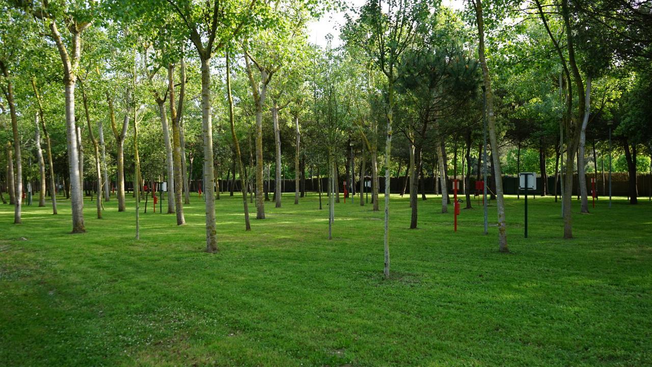 Village