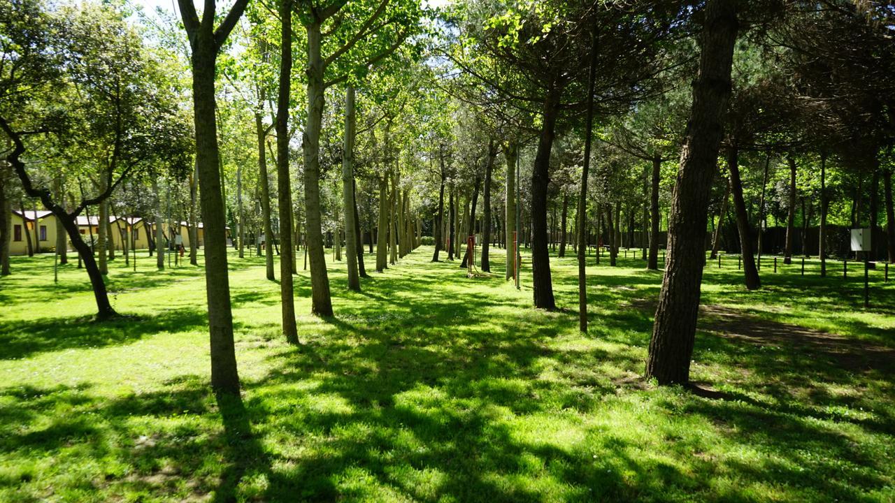 Camping Village Viareggio